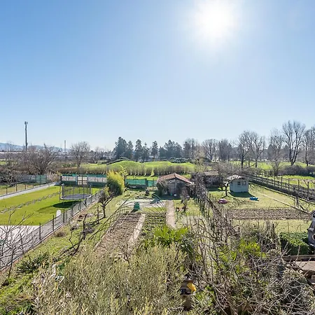 San Luigi 3.0 * Beinasco